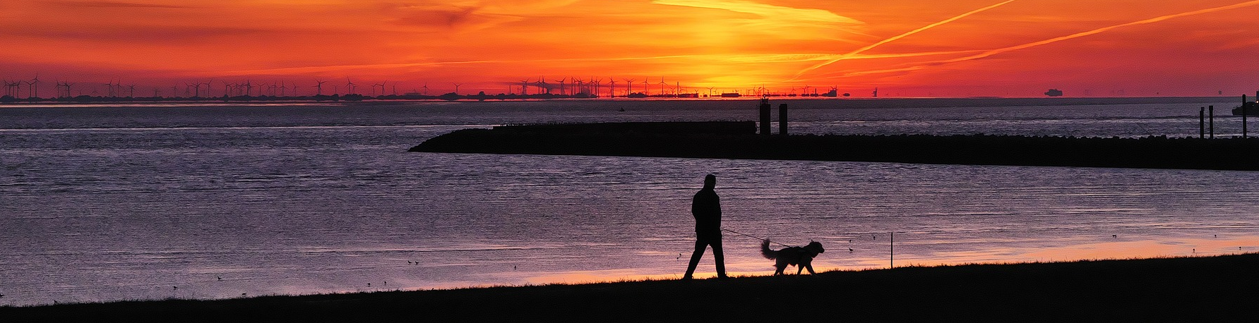 Eine Frau geht mit zwei Hunden am Strand spazieren, schwarze Silhouette vor Sonnenuntergang